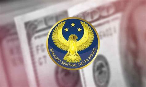 BSP bans another money service provider .